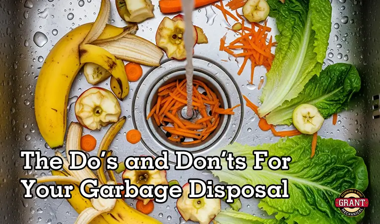The Dos and Donts for Your Garbage Disposal