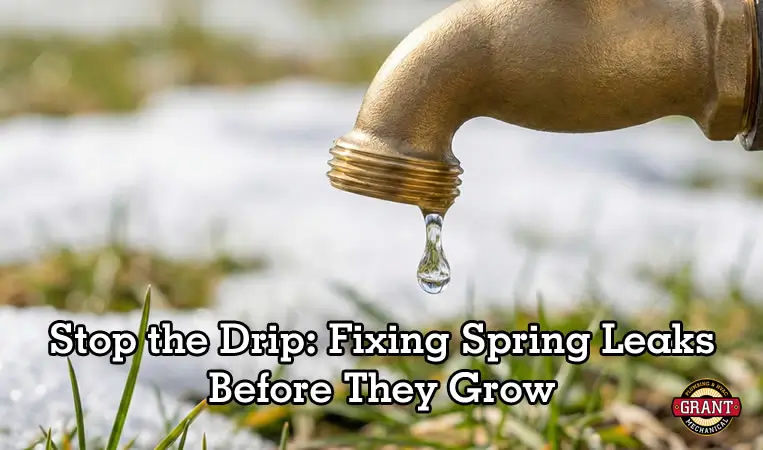 Stop the Drip Fixing Spring Leaks Before They Grow